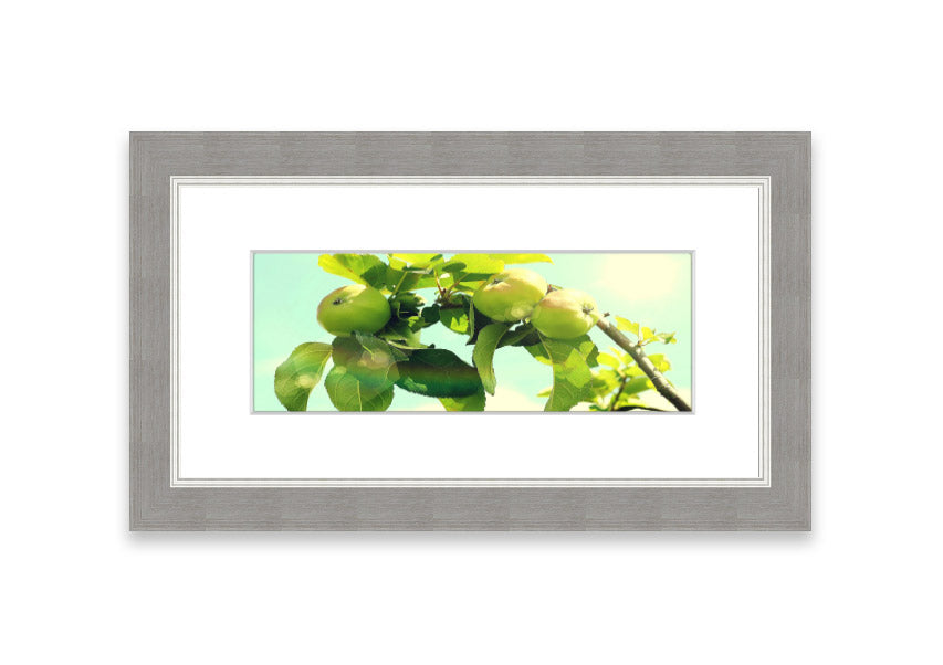 Framed print of an apple tree, handmade in the UK, available in various frame colors.