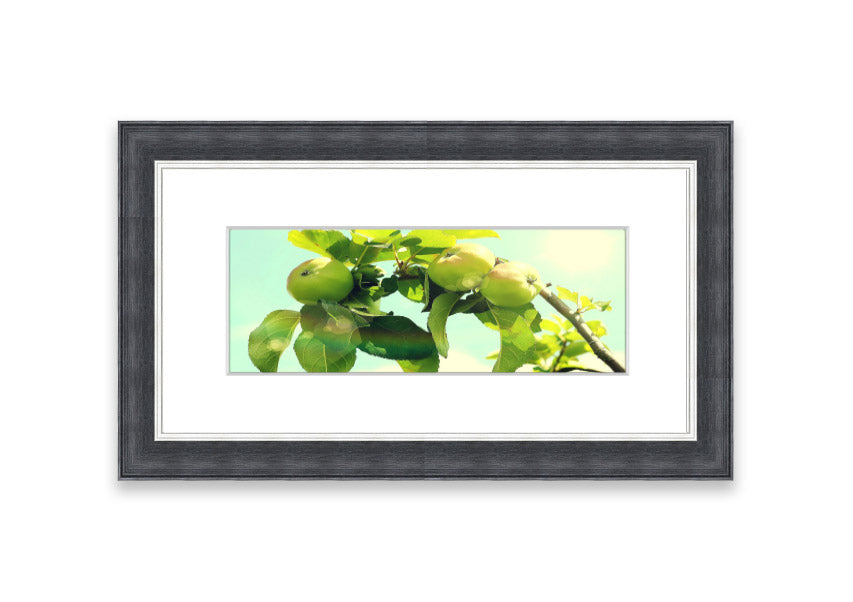 Framed print of an apple tree, handmade in the UK, available in various frame colors.