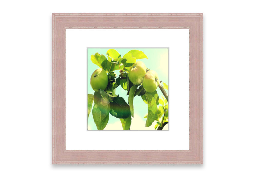 Framed print of an apple tree, handmade in the UK, available in various frame colors.