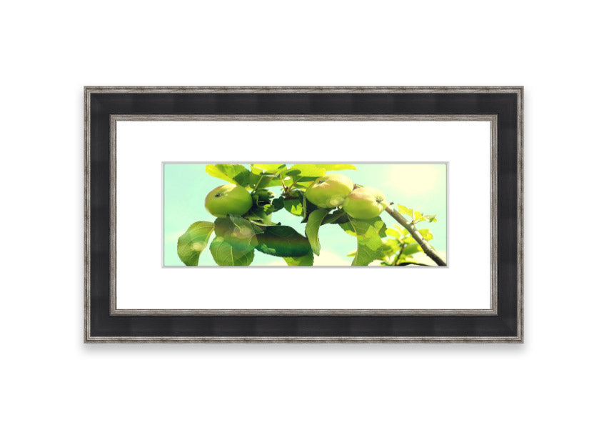 Framed print of an apple tree, handmade in the UK, available in various frame colors.