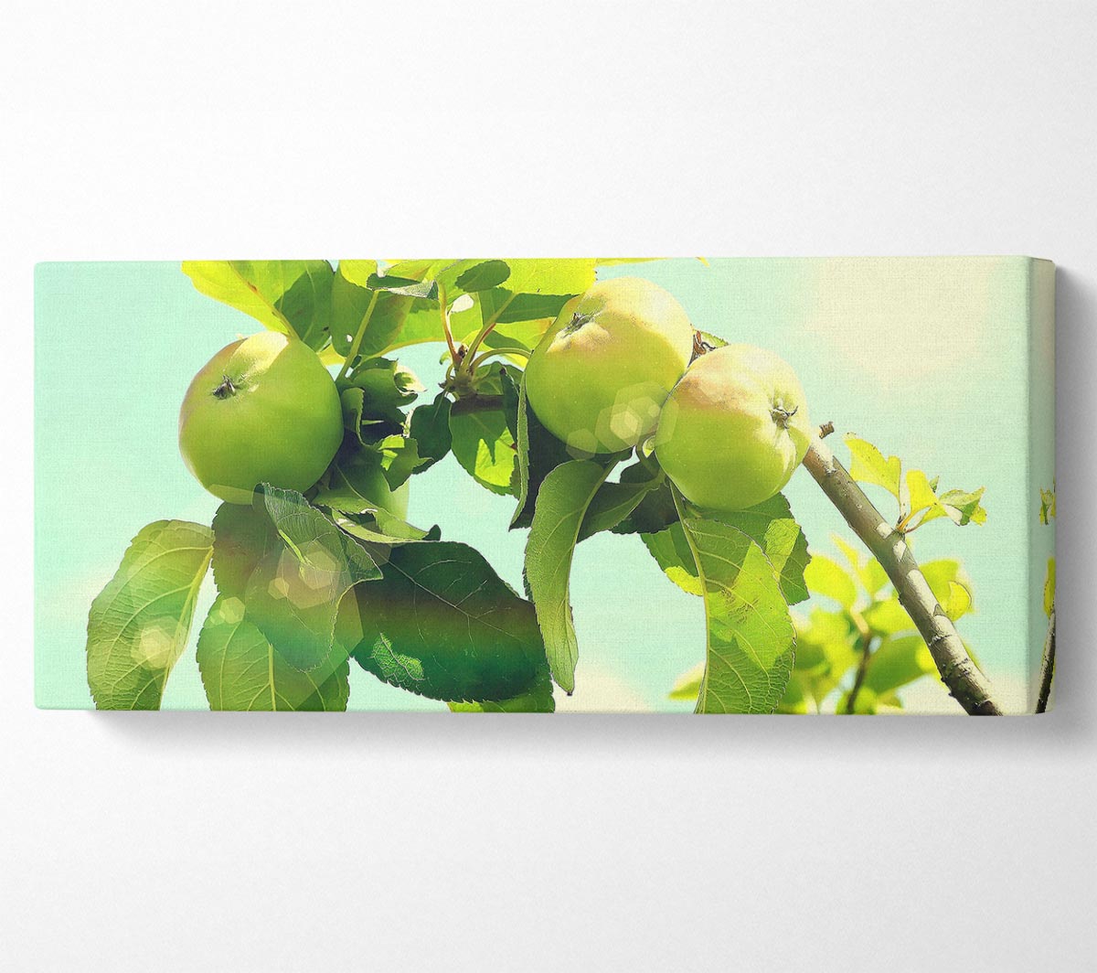 A vibrant Apple Tree canvas art piece mounted on a sturdy box frame, showcasing rich colors and intricate details.