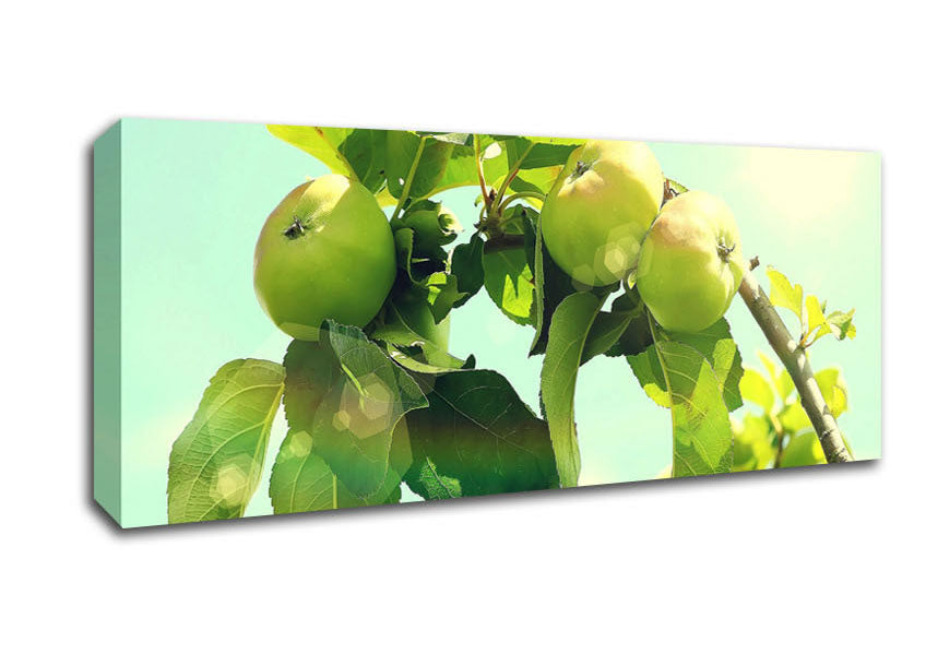 A vibrant Apple Tree canvas art piece mounted on a sturdy box frame, showcasing rich colors and intricate details.