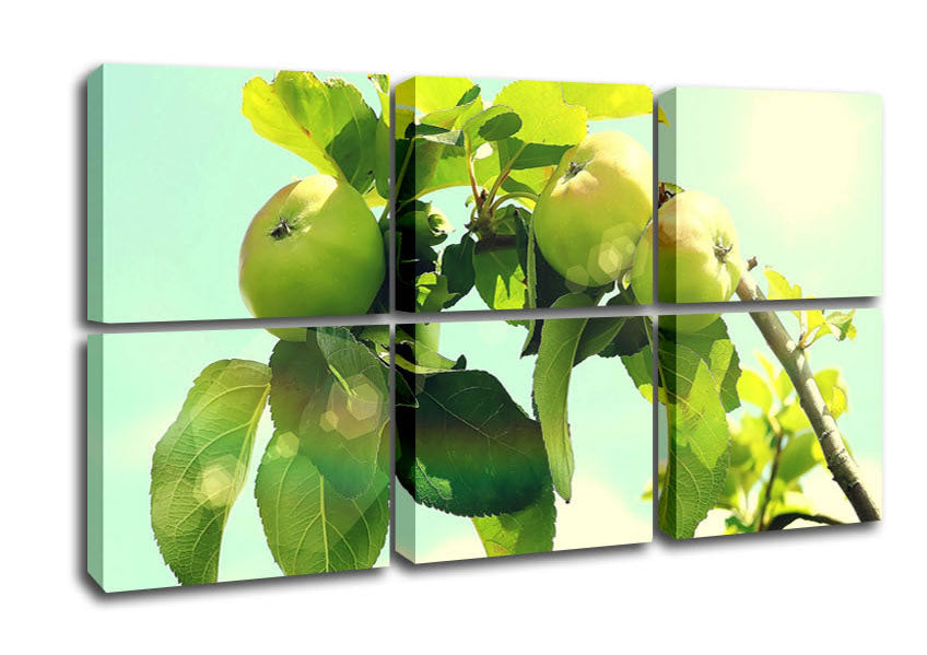 A beautifully printed Apple Tree canvas art mounted on a sturdy box frame, showcasing vibrant colors and intricate details.