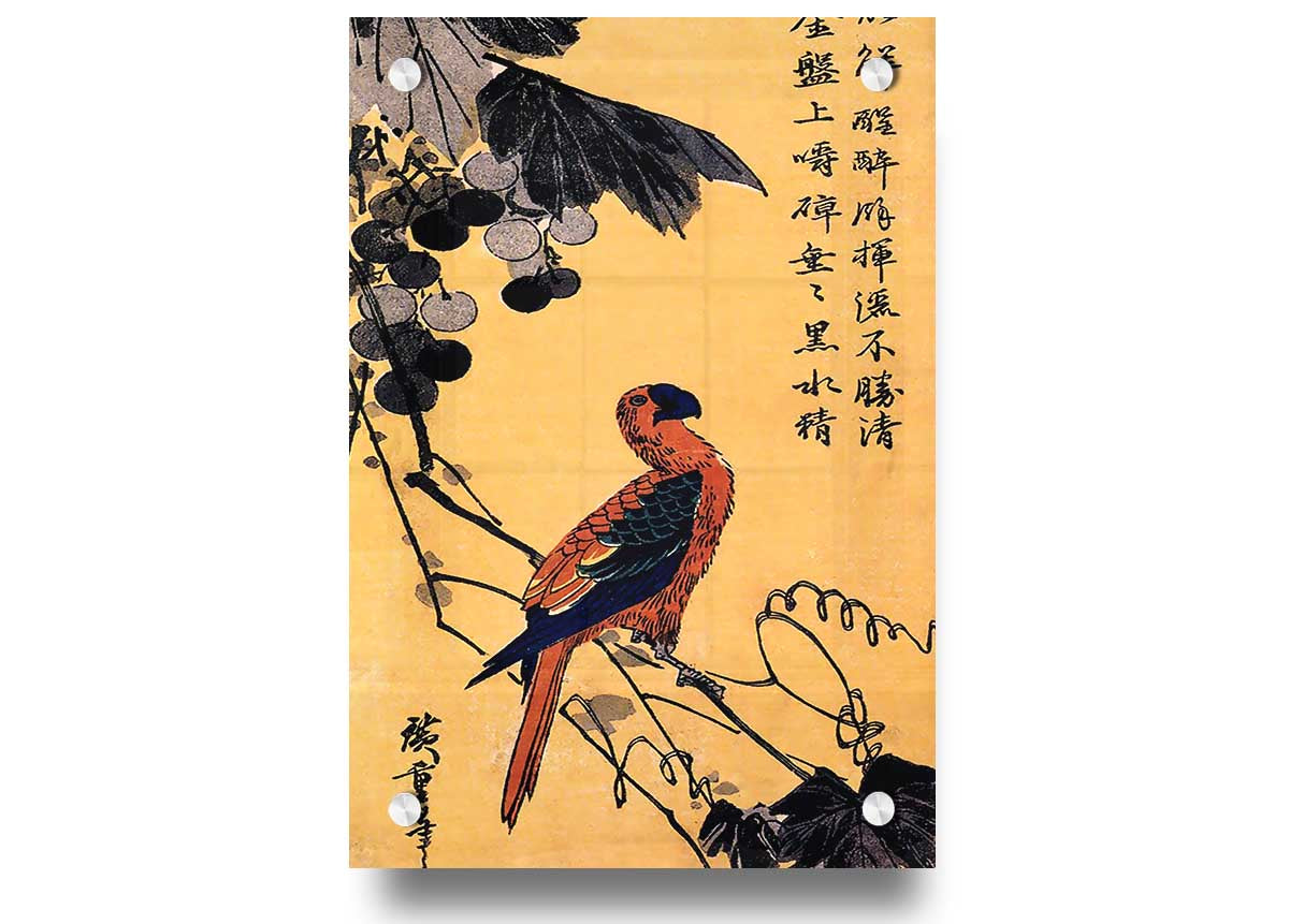 Ara On A Vine By Hiroshige acrylic print on 5mm thick acrylic glass, showcasing vibrant colors and intricate details.