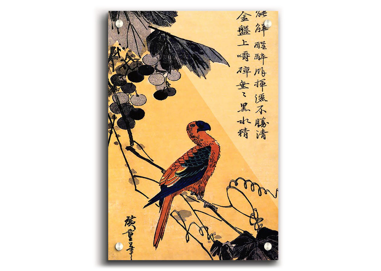 Ara On A Vine By Hiroshige acrylic print on 5mm thick acrylic glass, showcasing vibrant colors and intricate details.