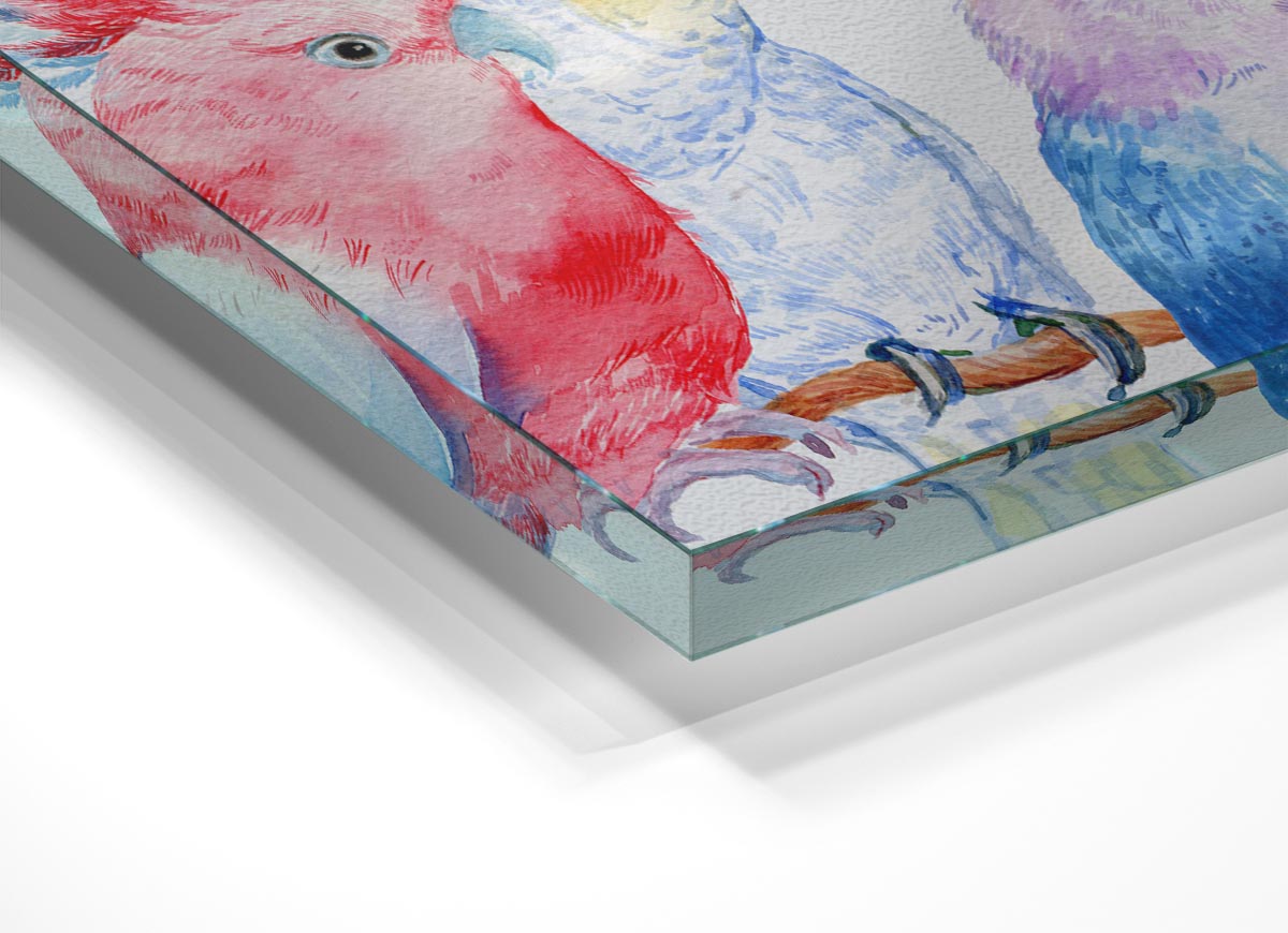 A vibrant glass print featuring an array of colorful watercolour parrots, showcasing their intricate details and lively hues.