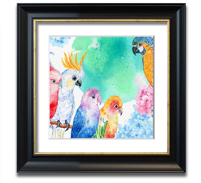 A vibrant square framed print featuring an array of colorful watercolour parrots, beautifully crafted and ready to hang.