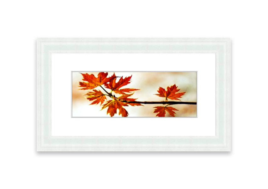 Arboreal Cornwall framed print showcasing a beautiful arboreal design, available in various frame colors.