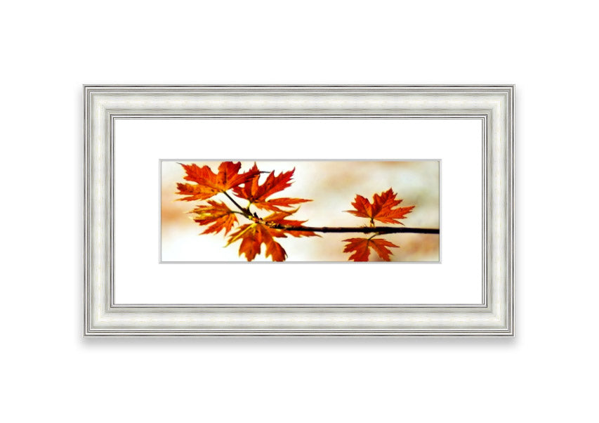 Arboreal Cornwall framed print showcasing a beautiful arboreal design, available in various frame colors.