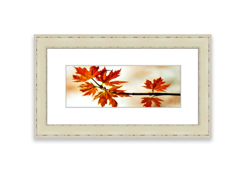 Arboreal Cornwall framed print showcasing a beautiful arboreal design, available in various frame colors.