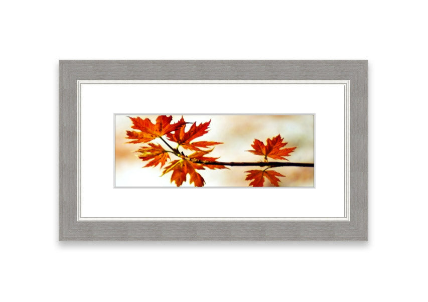 Arboreal Cornwall framed print showcasing a beautiful arboreal design, available in various frame colors.