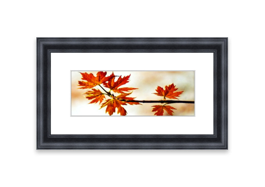 Arboreal Cornwall framed print showcasing a beautiful arboreal design, available in various frame colors.