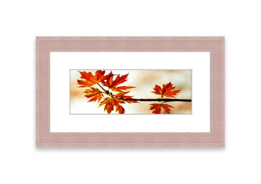 Arboreal Cornwall framed print showcasing a beautiful arboreal design, available in various frame colors.