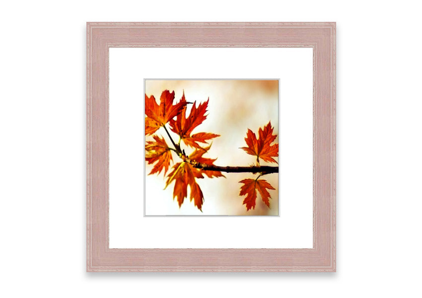 Arboreal Cornwall framed print showcasing a beautiful arboreal design, available in various frame colors.