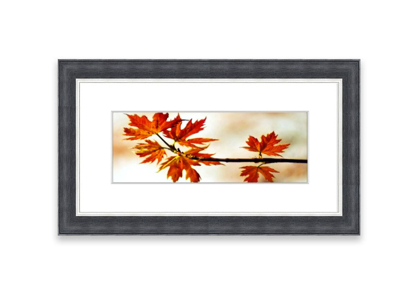 Arboreal Cornwall framed print showcasing a beautiful arboreal design, available in various frame colors.