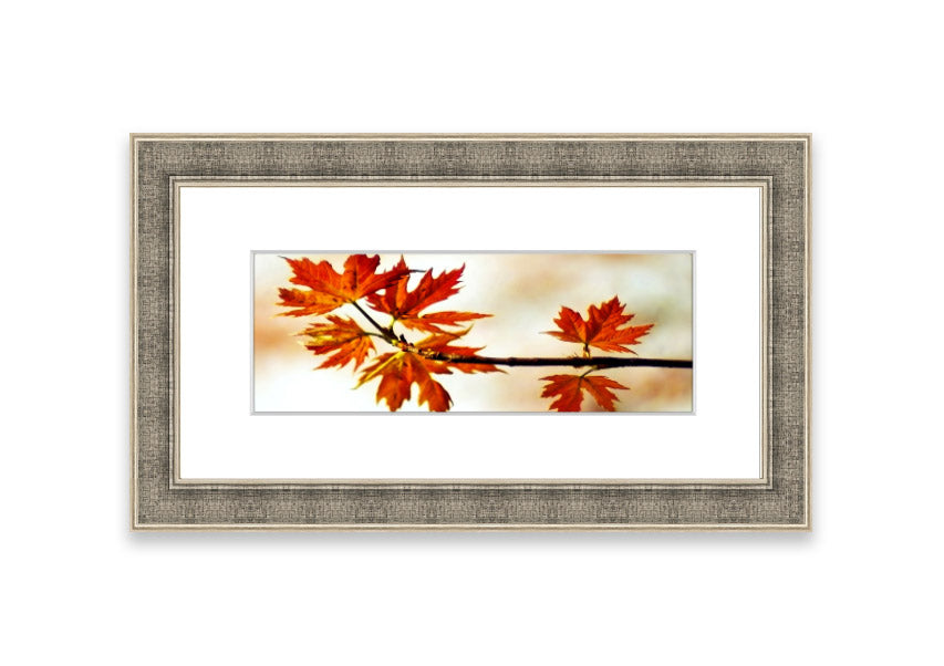 Arboreal Cornwall framed print showcasing a beautiful arboreal design, available in various frame colors.