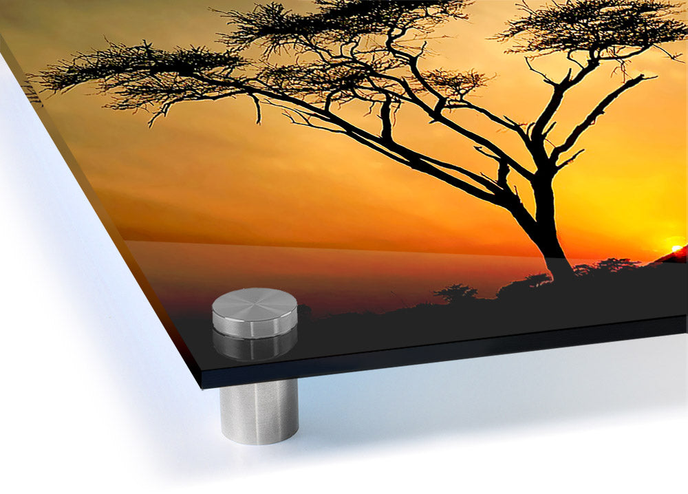 Arcania Tree Sunblaze acrylic print on 5mm thick glass, showcasing vibrant colors and intricate details.