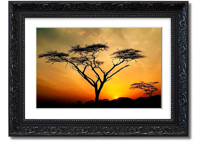 Arcania Tree Sunblaze framed print showcasing a vibrant tree design, ready to hang with multiple frame color options.