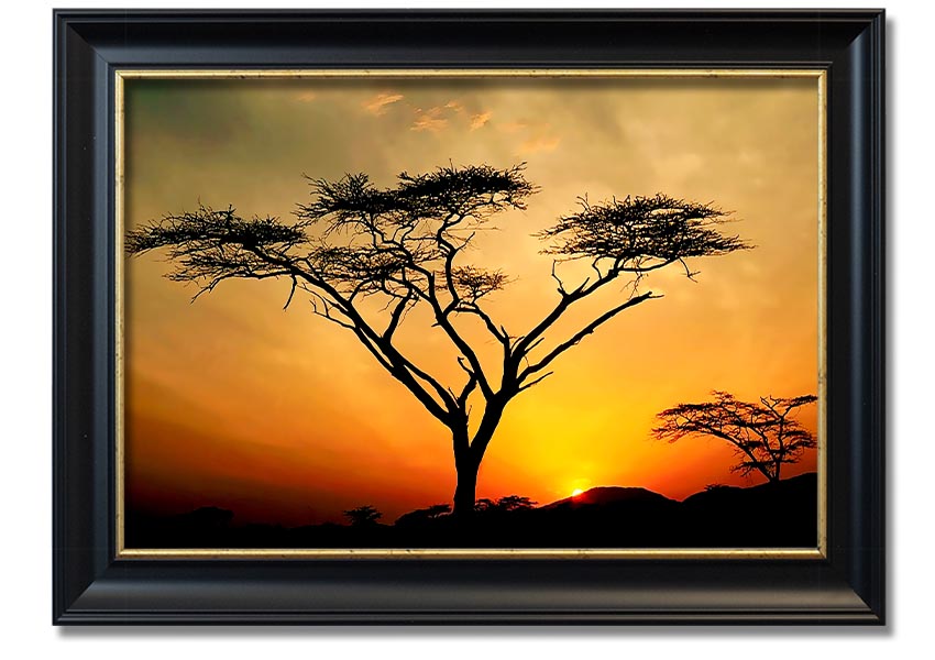 Arcania Tree Sunblaze framed print showcasing a vibrant tree design, ready to hang with multiple frame color options.