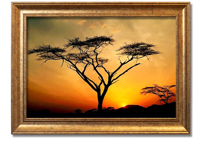 Arcania Tree Sunblaze framed print showcasing a vibrant tree design, ready to hang with multiple frame color options.