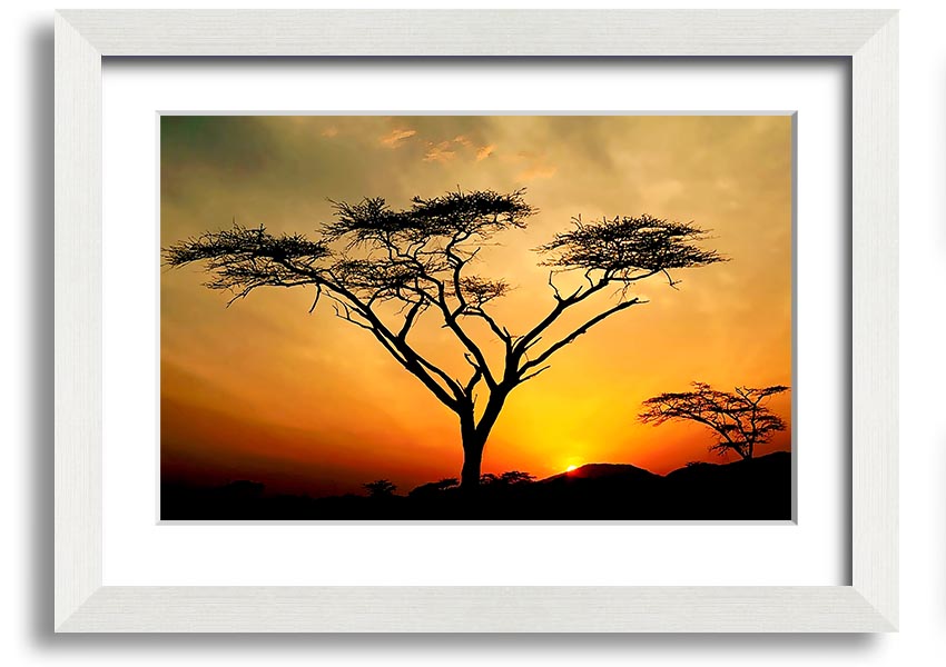 Arcania Tree Sunblaze framed print showcasing a vibrant tree design, ready to hang with multiple frame color options.