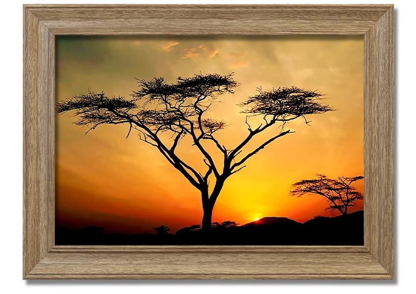 Arcania Tree Sunblaze framed print showcasing a vibrant tree design, ready to hang with multiple frame color options.