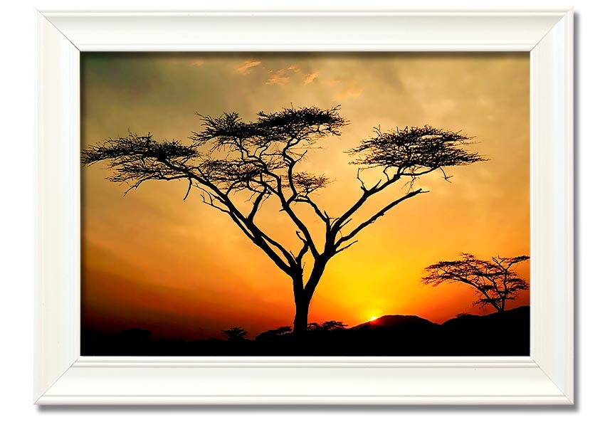 Arcania Tree Sunblaze framed print showcasing a vibrant tree design, ready to hang with multiple frame color options.