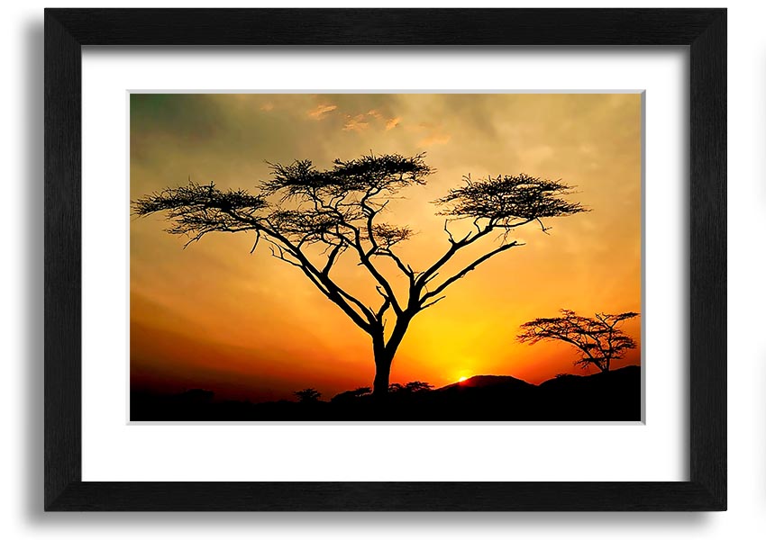 Arcania Tree Sunblaze framed print showcasing a vibrant tree design, ready to hang with multiple frame color options.