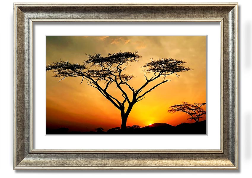 Arcania Tree Sunblaze framed print showcasing a vibrant tree design, ready to hang with multiple frame color options.