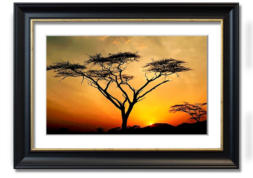 Arcania Tree Sunblaze framed print showcasing a vibrant tree design, ready to hang with multiple frame color options.