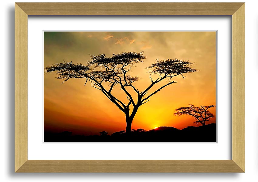 Arcania Tree Sunblaze framed print showcasing a vibrant tree design, ready to hang with multiple frame color options.