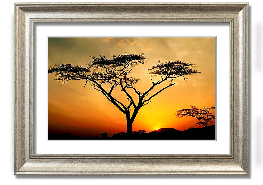 Arcania Tree Sunblaze framed print showcasing a vibrant tree design, ready to hang with multiple frame color options.