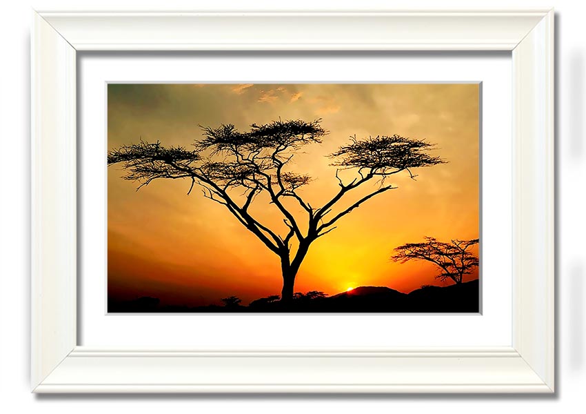 Arcania Tree Sunblaze framed print showcasing a vibrant tree design, ready to hang with multiple frame color options.