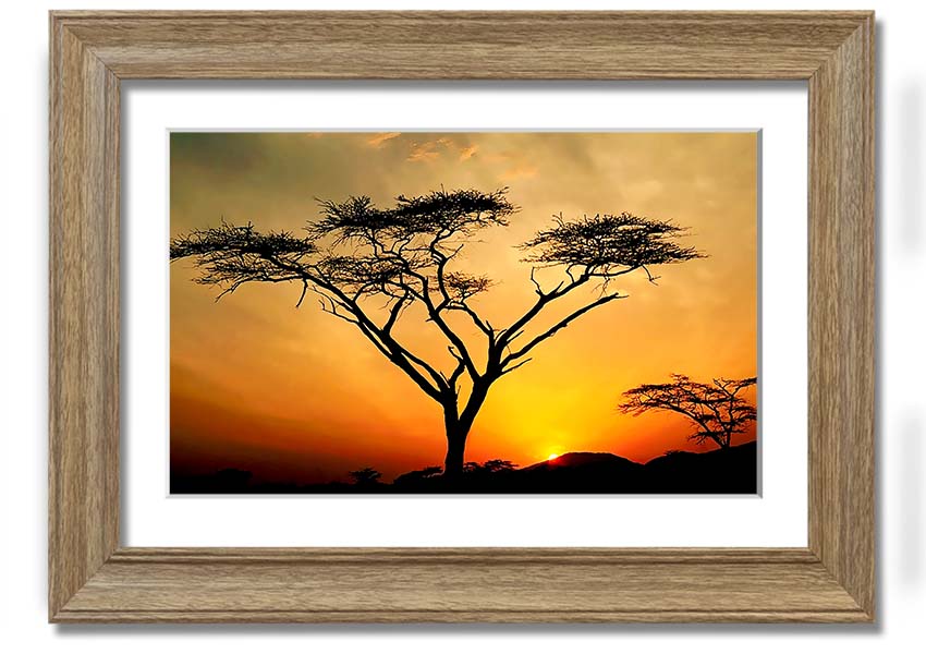 Arcania Tree Sunblaze framed print showcasing a vibrant tree design, ready to hang with multiple frame color options.