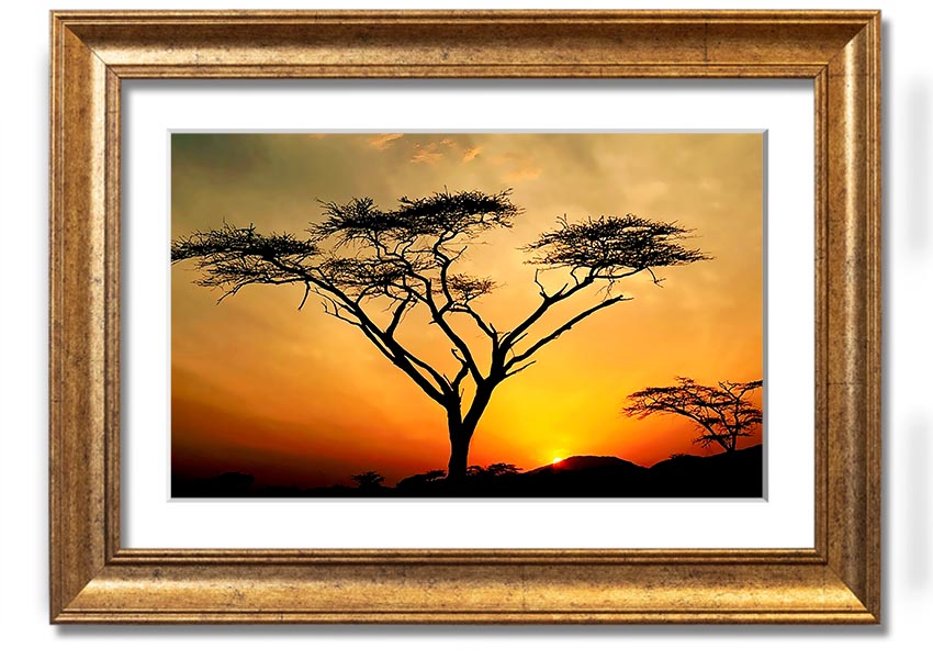 Arcania Tree Sunblaze framed print showcasing a vibrant tree design, ready to hang with multiple frame color options.