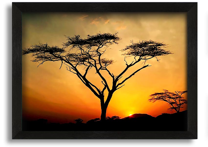 Arcania Tree Sunblaze framed print showcasing a vibrant tree design, ready to hang with multiple frame color options.