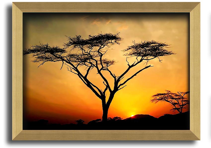 Arcania Tree Sunblaze framed print showcasing a vibrant tree design, ready to hang with multiple frame color options.