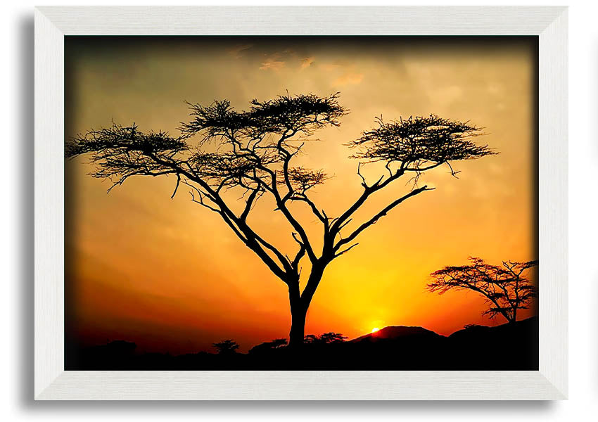 Arcania Tree Sunblaze framed print showcasing a vibrant tree design, ready to hang with multiple frame color options.