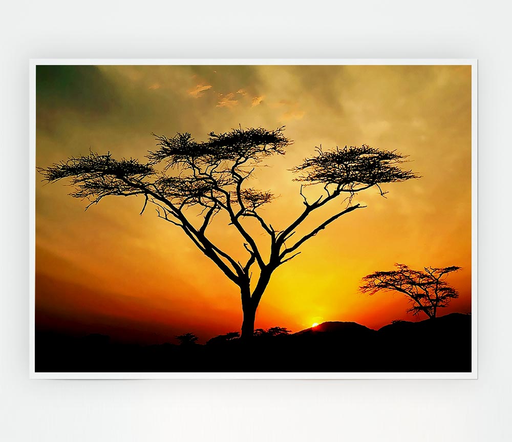 Arcania Tree Sunblaze canvas poster featuring a vibrant tree design with warm sunblaze colors, ready for display.