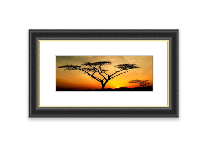 Arcania Tree Sunblaze framed print showcasing a vibrant Cornwall landscape, available in various frame colours.