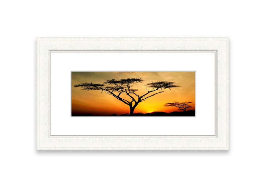 Arcania Tree Sunblaze framed print showcasing a vibrant Cornwall landscape, available in various frame colours.