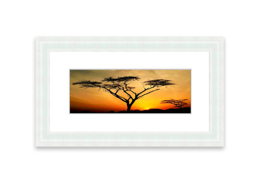 Arcania Tree Sunblaze framed print showcasing a vibrant Cornwall landscape, available in various frame colours.