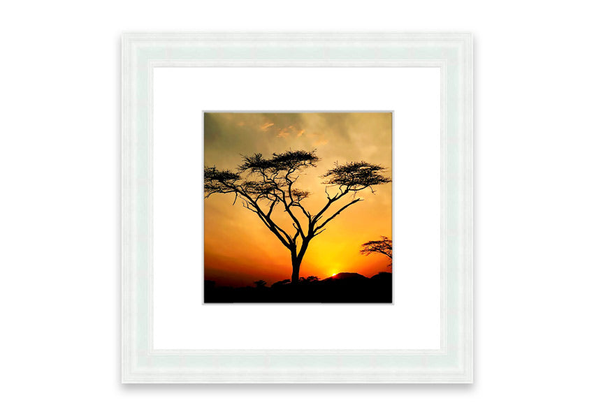 Arcania Tree Sunblaze framed print showcasing a vibrant Cornwall landscape, available in various frame colours.