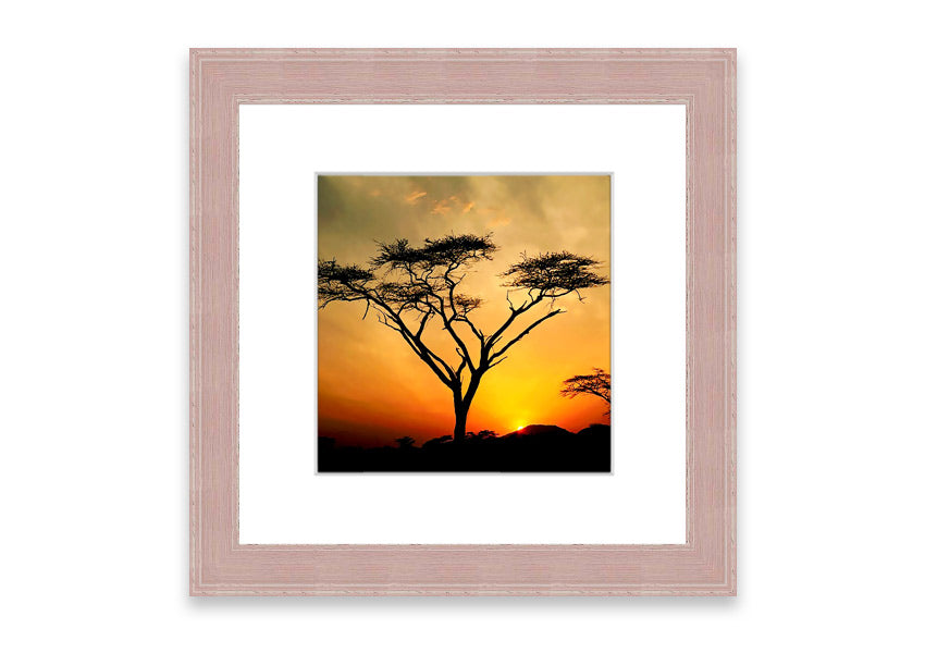 Arcania Tree Sunblaze framed print showcasing a vibrant Cornwall landscape, available in various frame colours.