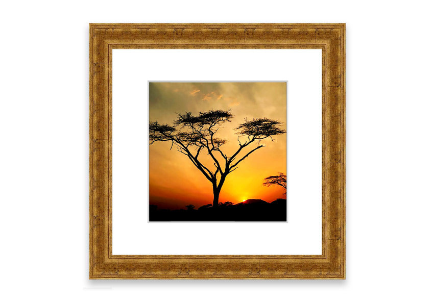 Arcania Tree Sunblaze framed print showcasing a vibrant Cornwall landscape, available in various frame colours.