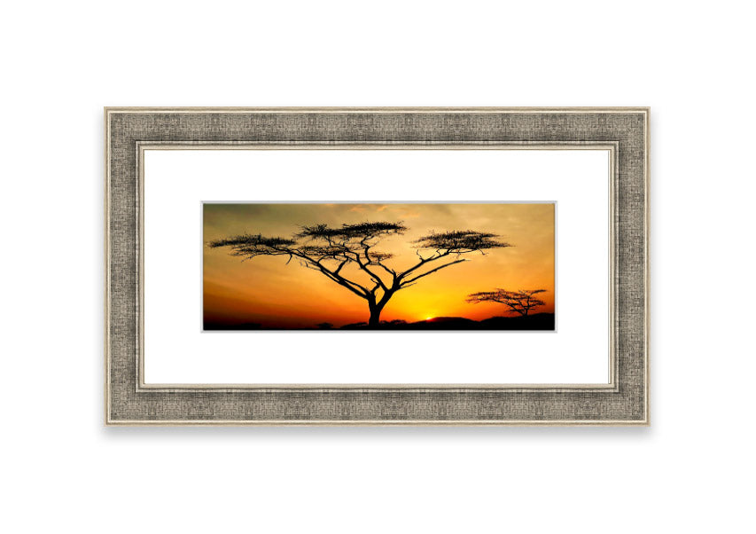 Arcania Tree Sunblaze framed print showcasing a vibrant Cornwall landscape, available in various frame colours.