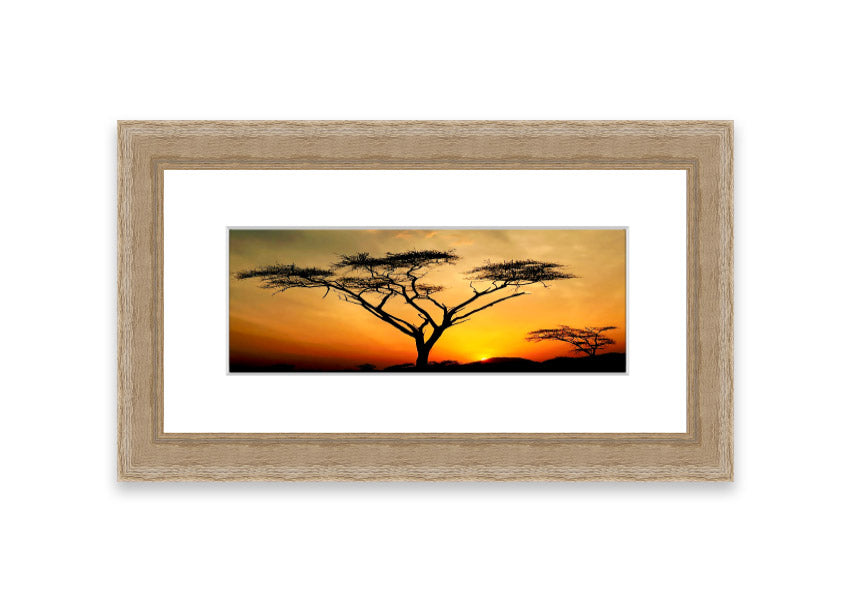 Arcania Tree Sunblaze framed print showcasing a vibrant Cornwall landscape, available in various frame colours.