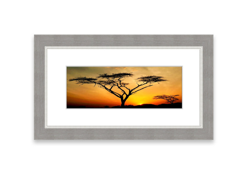 Arcania Tree Sunblaze framed print showcasing a vibrant Cornwall landscape, available in various frame colours.