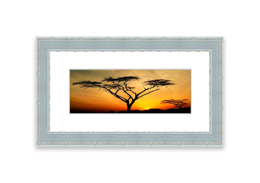 Arcania Tree Sunblaze framed print showcasing a vibrant Cornwall landscape, available in various frame colours.