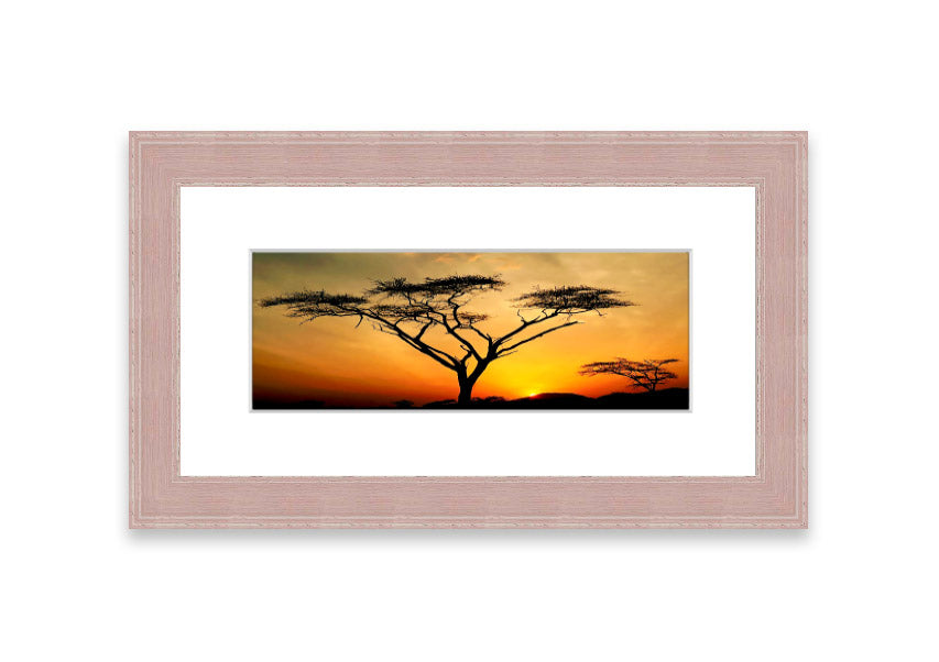 Arcania Tree Sunblaze framed print showcasing a vibrant Cornwall landscape, available in various frame colours.